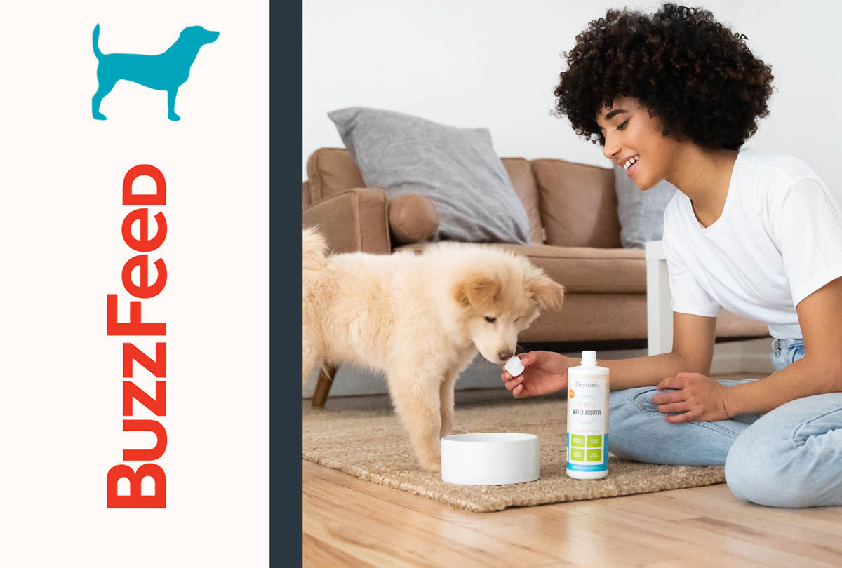 Pawsome Buys That’ll Save the Day (& Your Sanity)