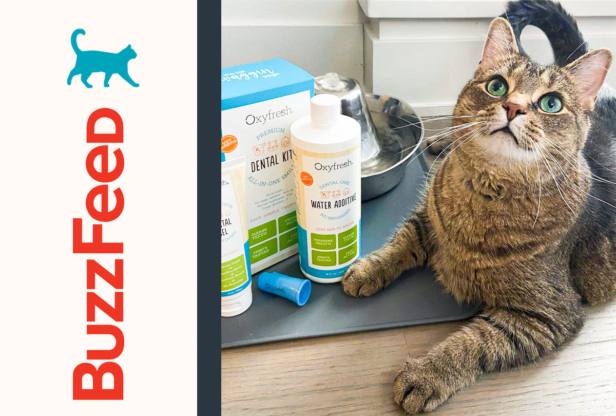 oxyfresh pet water additive next to BuzzFeed logo