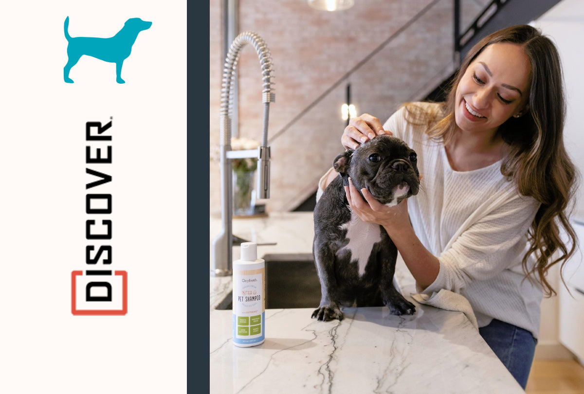 woman washing her puppy in the kitchen sink with oxyfresh pet shampoo for a soft fresh coat