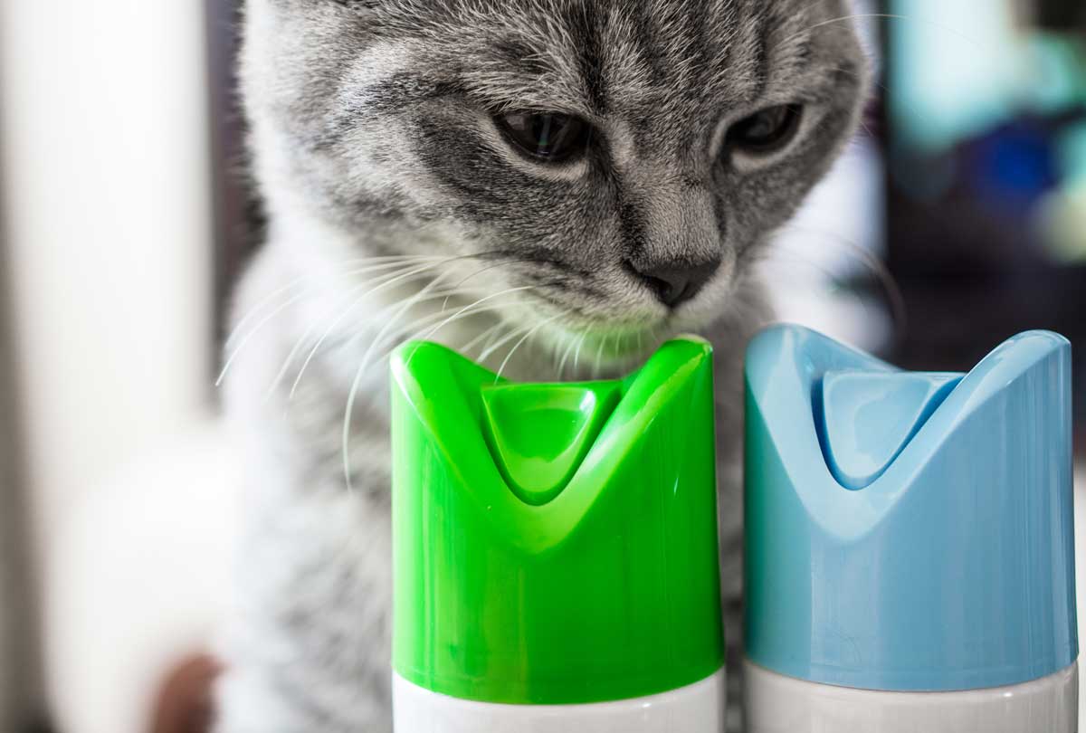http://oxyfresh.com/cdn/shop/articles/oxyfresh-household-products-image-of-a-cat-smelling-the-top-of-conventional-air-freshener-spray-bottles.jpg?v=1653337134