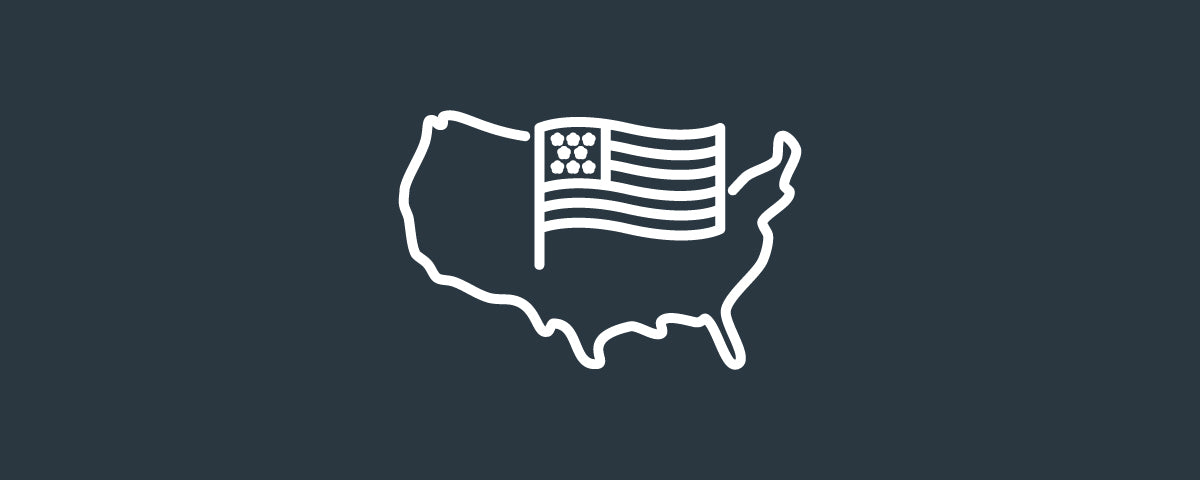 USA and flag icon