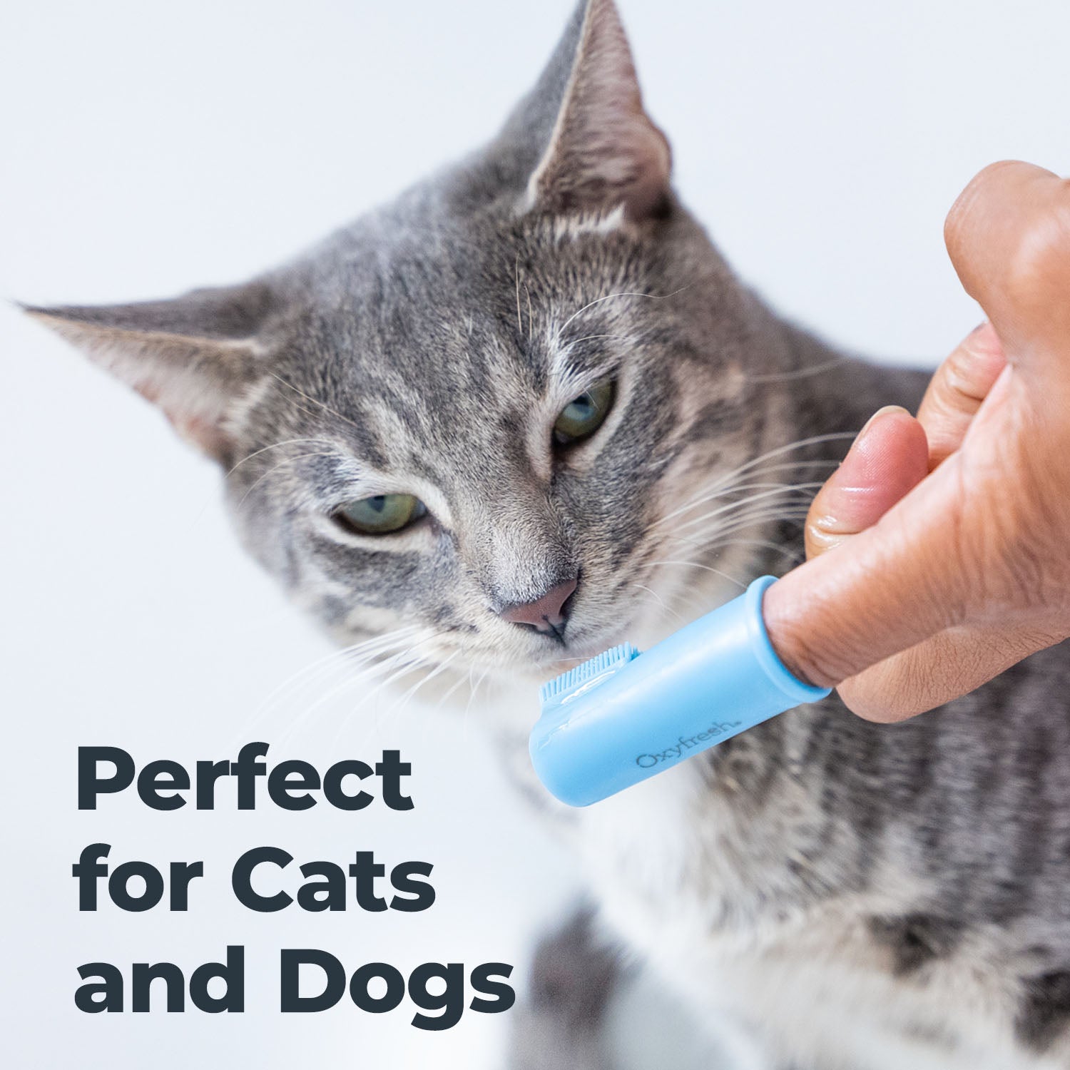 NEW Premium Pet Toothbrush Set - 6 Super Soft Finger Brushes