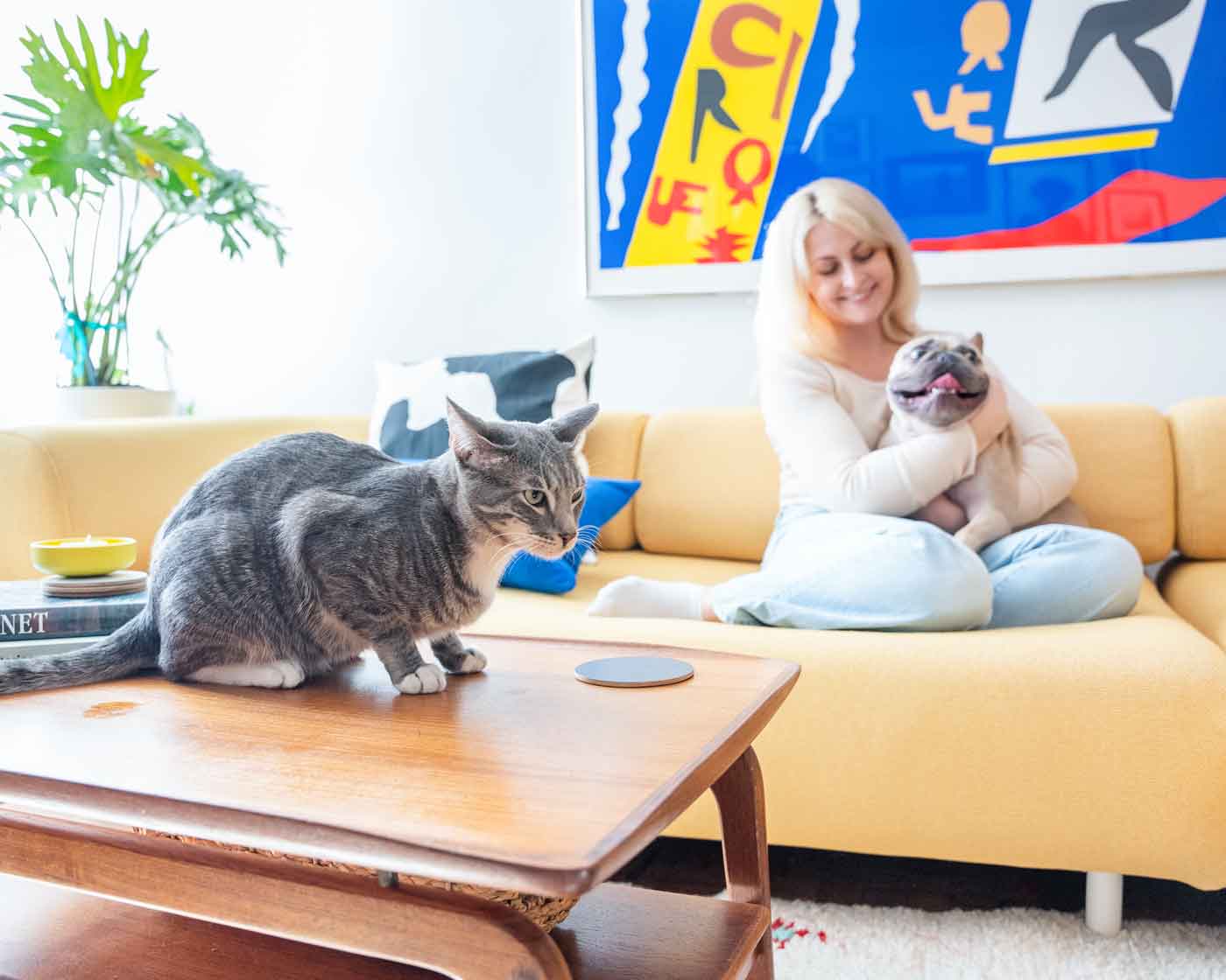 Woman-sitting-on-couch-with-her-pug-in-her-lap-and-kitty-on-the-coffee-table