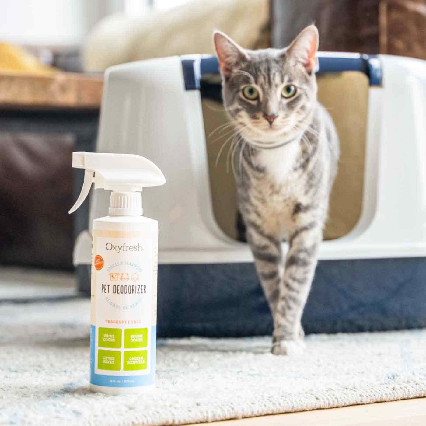 cat exiting litterbox with oxyfresh pet deodorizer bottle