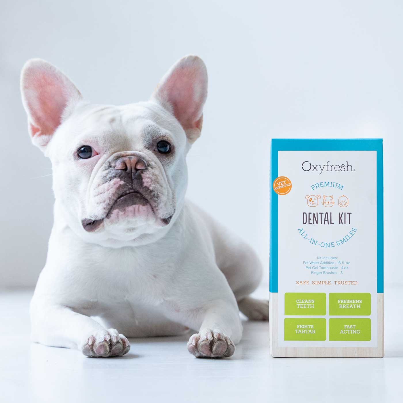 french-bulldog-laying-next-to-oxyfresh-dog-dental-kit