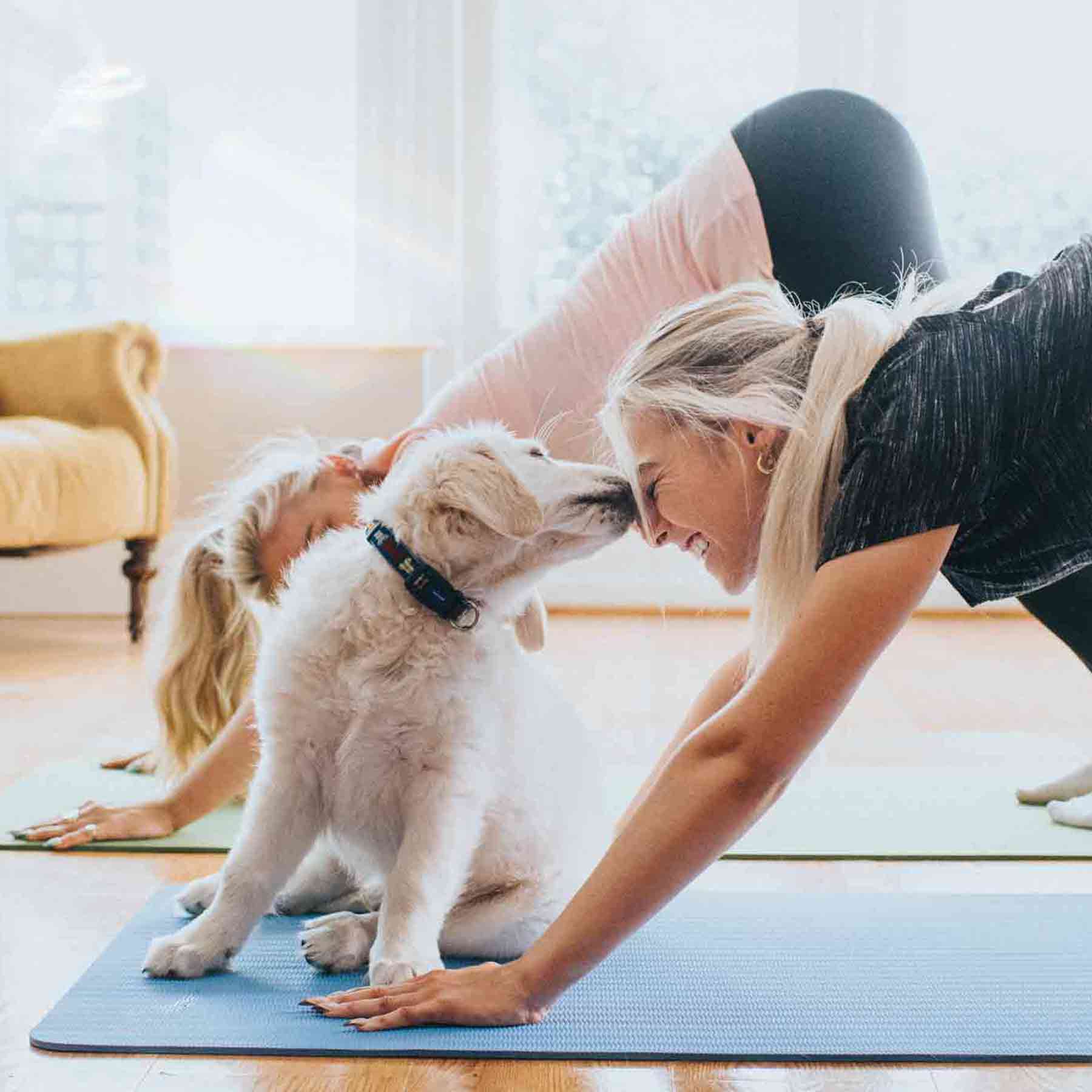 puppy-giving-kisses-to-smiling-young-woman-doing-yoga-pose-downward-dog-with-her-friend-in-a-light-modern-living-room_mobile