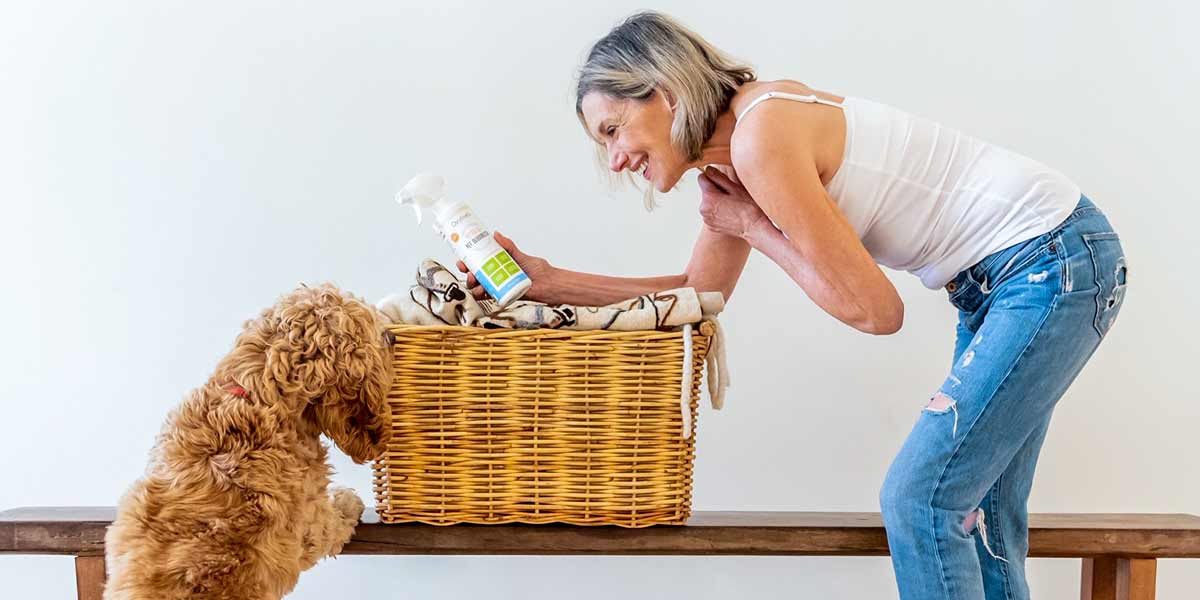 woman-bending-over-basket-holding-oxyfresh-pet-deodorizer-while-her-dog-props-himself-up-and-checks-out-what-shes-holding