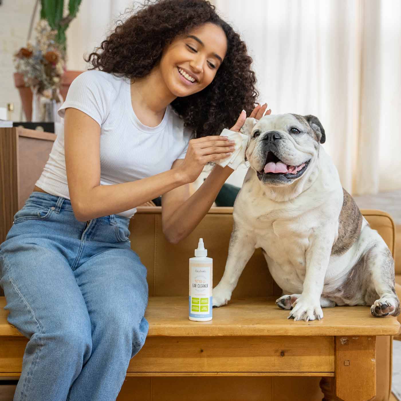 woman smiling as she gently cleans her bulldogs stinky ears with oxyfresh pet ear wash