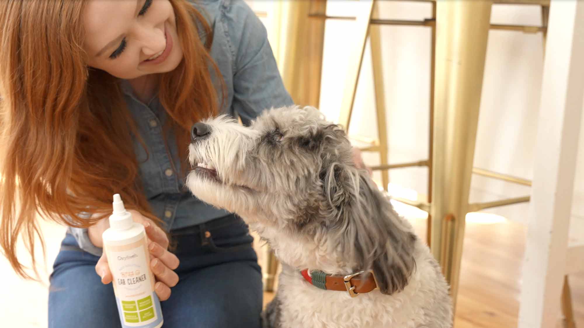 woman cleaning smiling dogs ears with oxyfresh pet ear cleaner