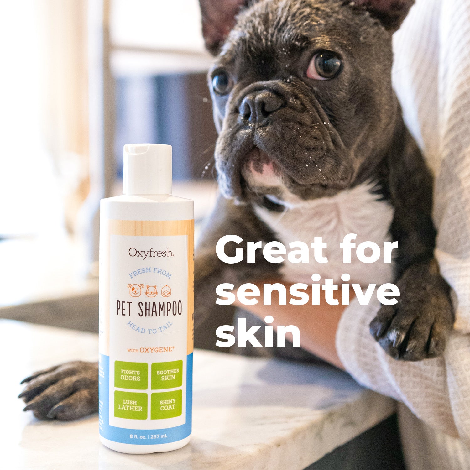 oxyfresh-pet-shampoo-is-great-for-sensitive-skin