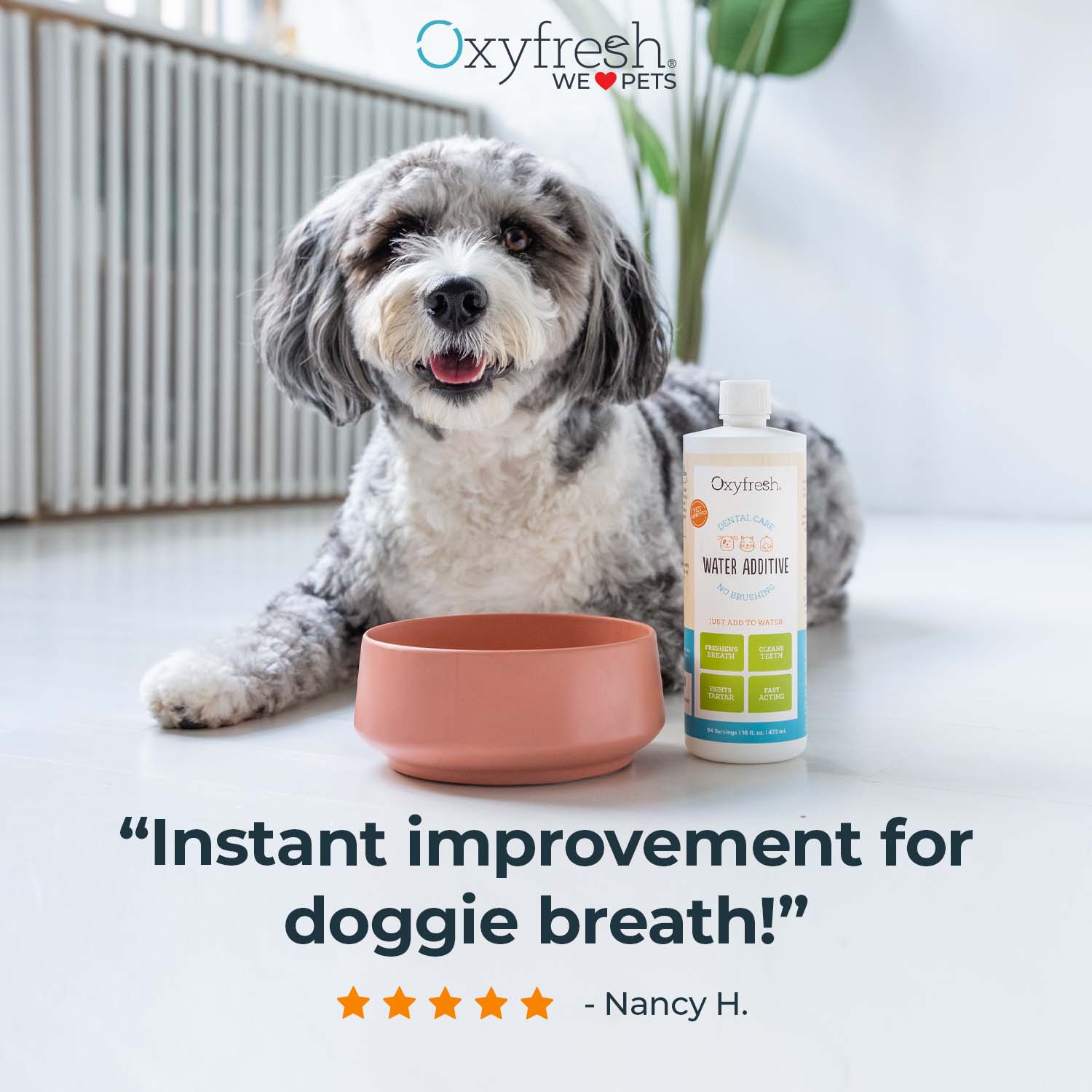 oxyfresh dental water additive for dog fresh breath instant improvement