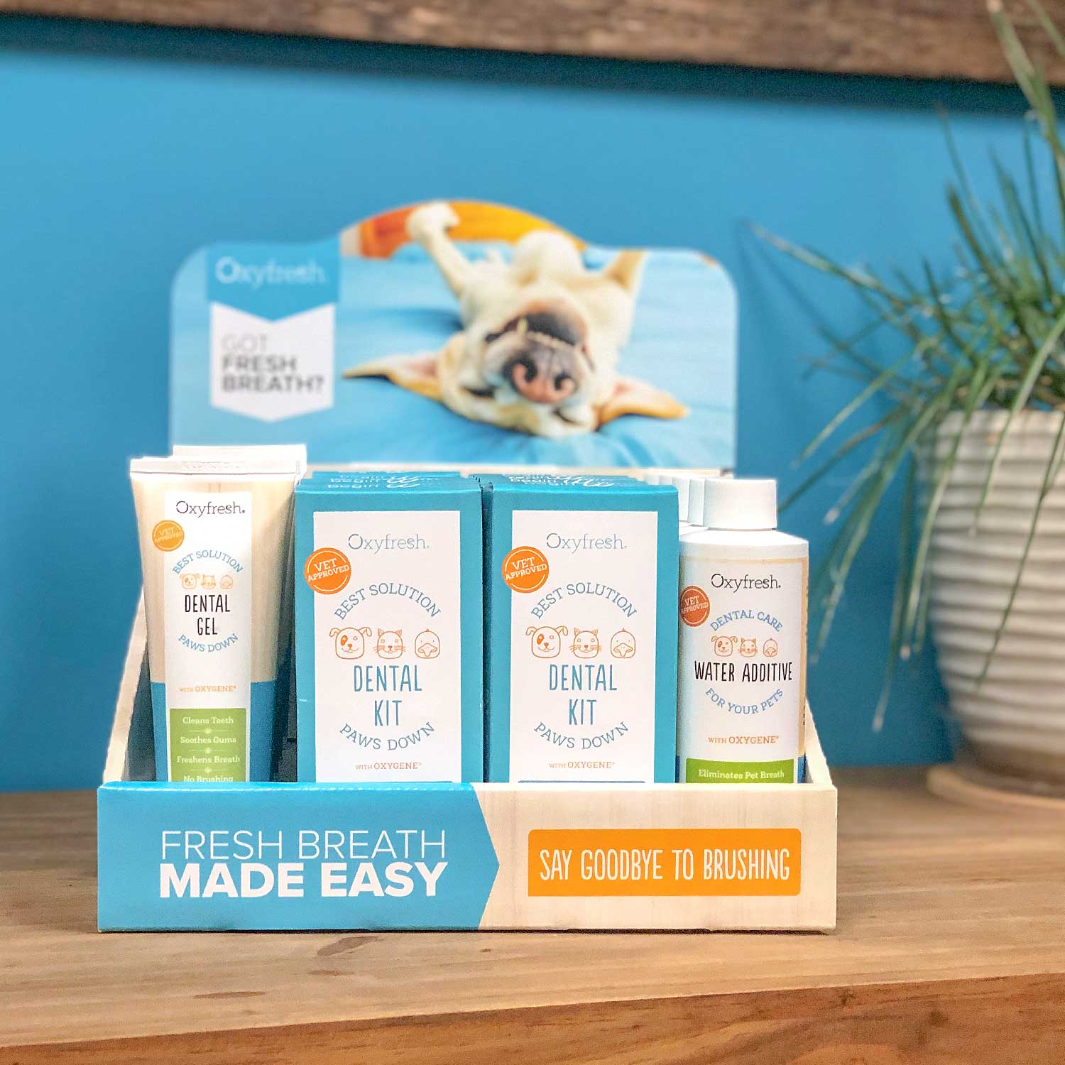 oxyfresh-point-of-purchase-display
