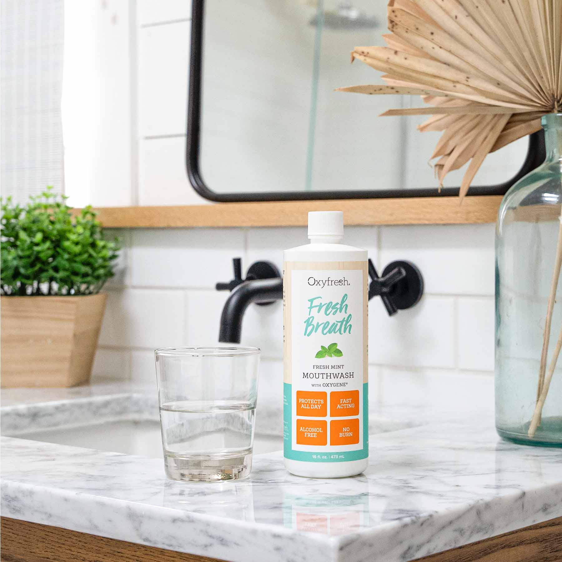 oxyfresh-fresh-breath-alcohol-free-fresh-mint-mouthwash-bathroom-counter