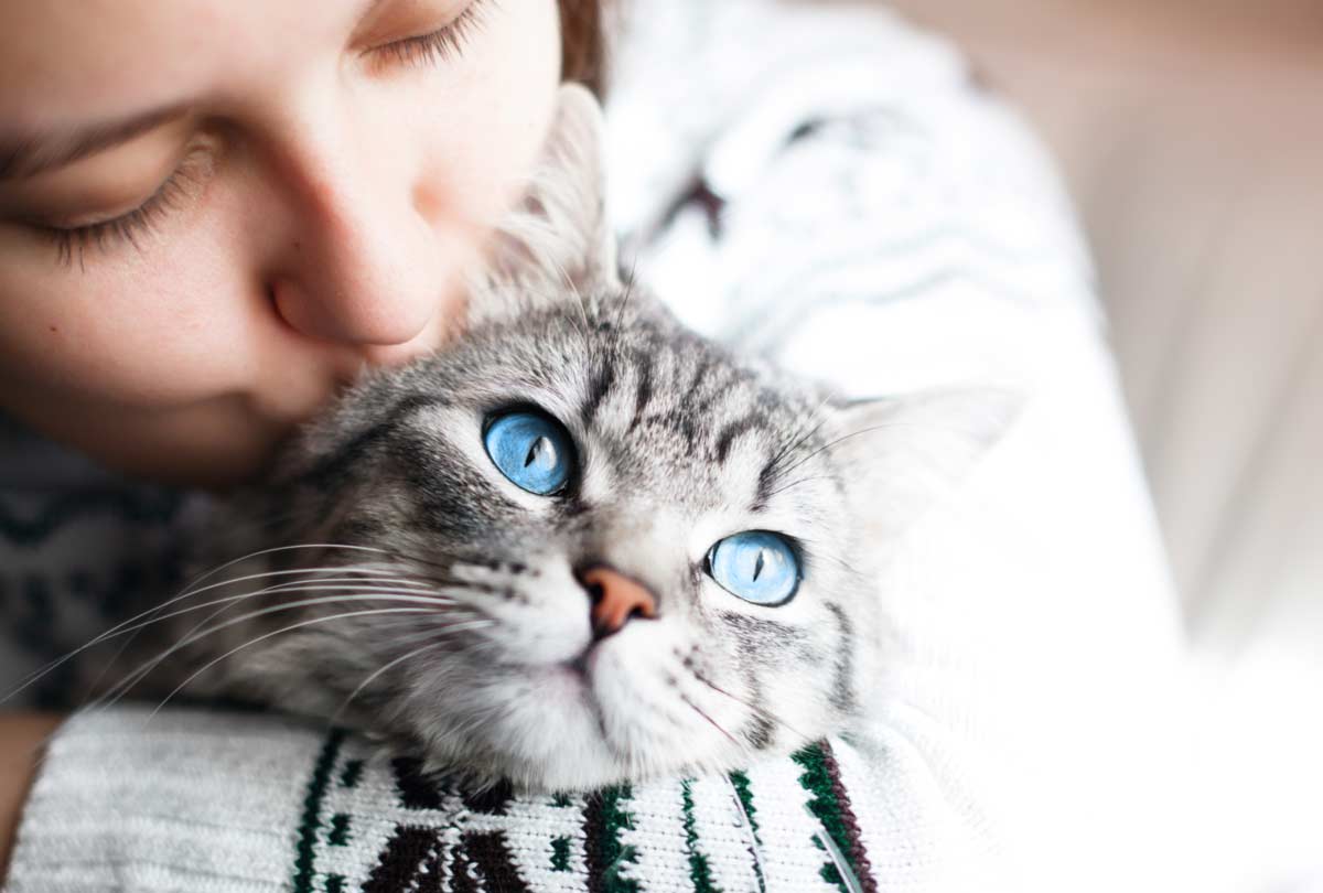 Oxyfresh - 5 Secrets to Fighting Cat Bad Breath