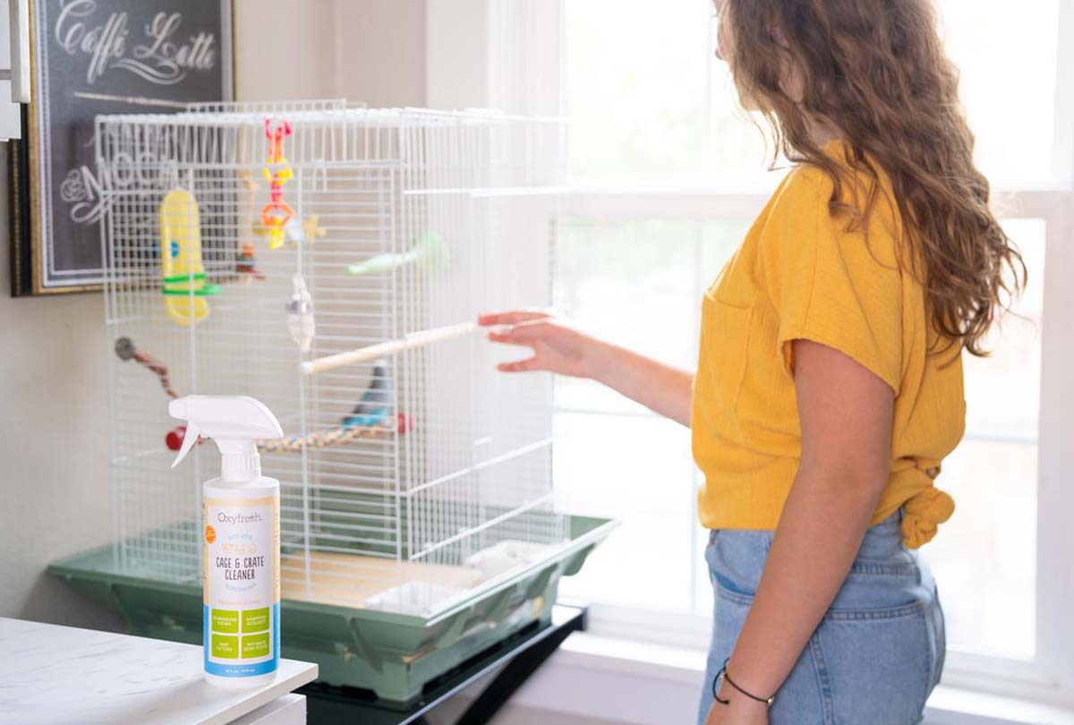 A closer look at Parrot Cage Cleaning System Easy