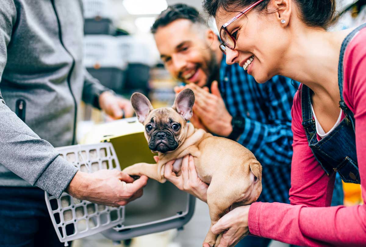 Better Than Vinegar The Best Cleaner for Dog Kennels