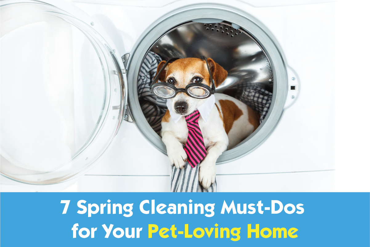 7 Spring Cleaning Must-Dos for Your Pet-Loving Home