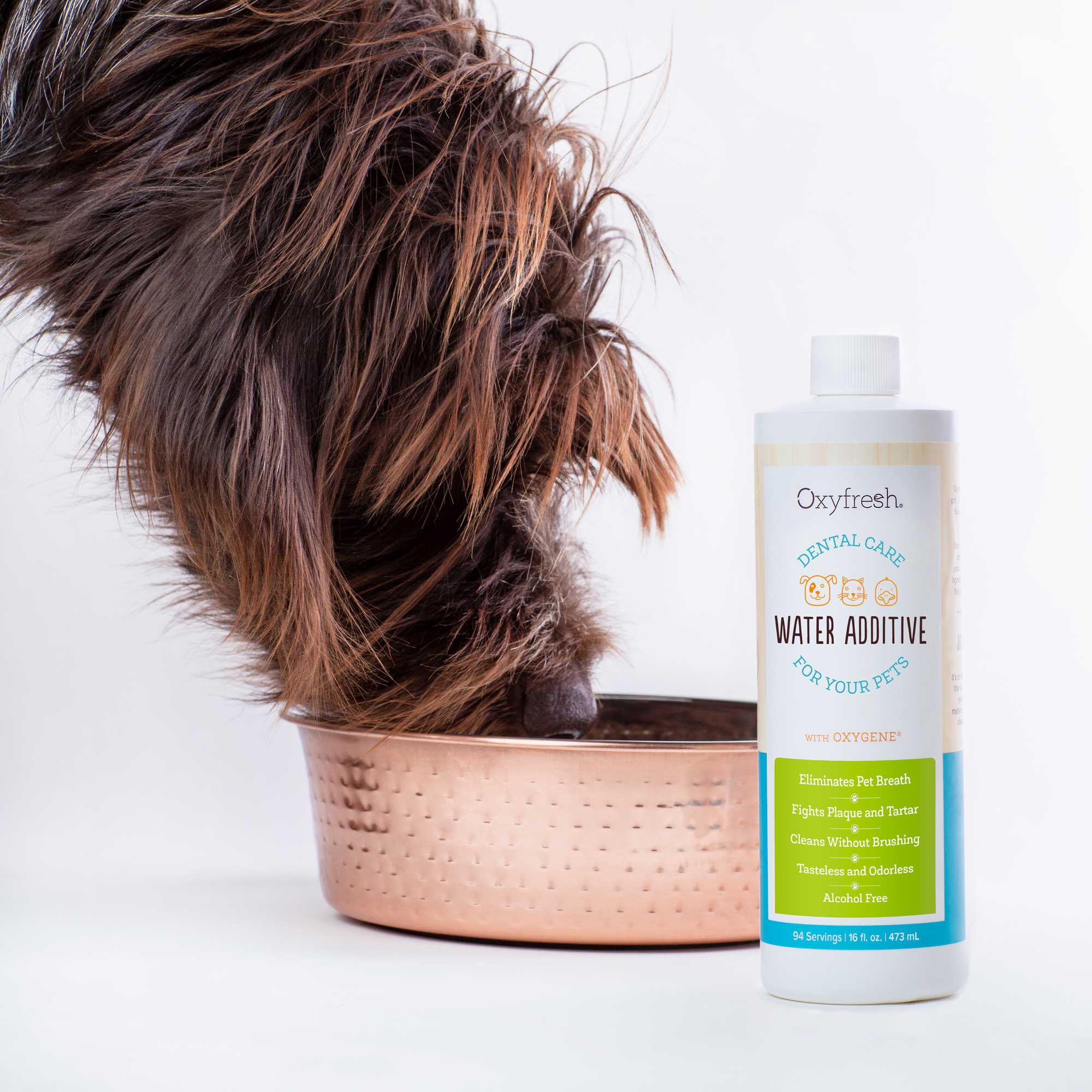 Oxyfresh Featured in Pets Plus Magazine