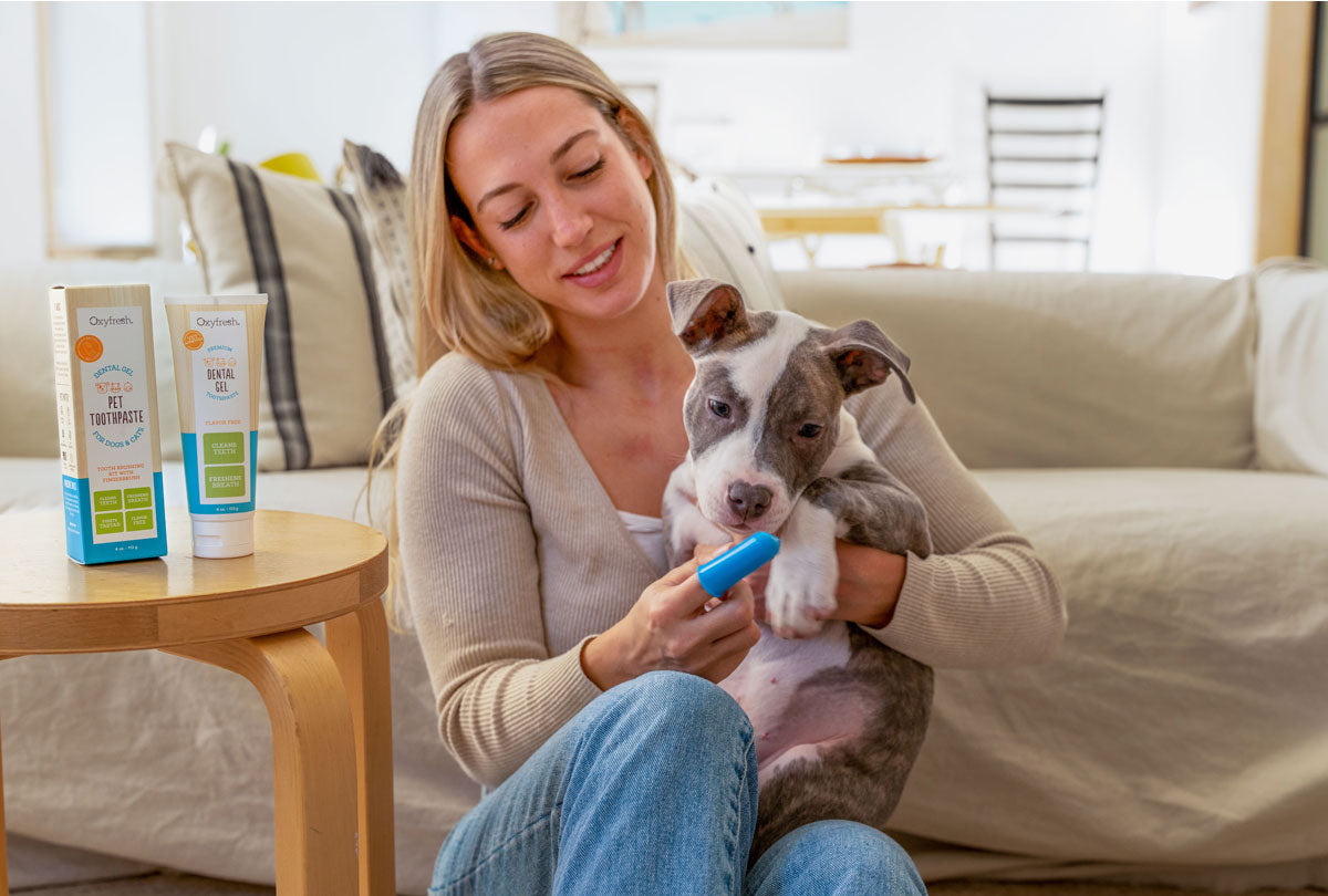 woman with puppy oxyfresh pet dental gel kit