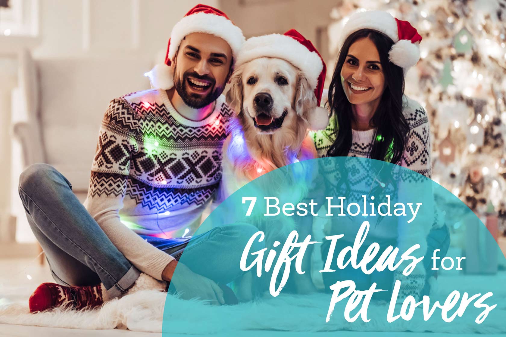 7 Best Holiday Gift Ideas for Pet Lovers