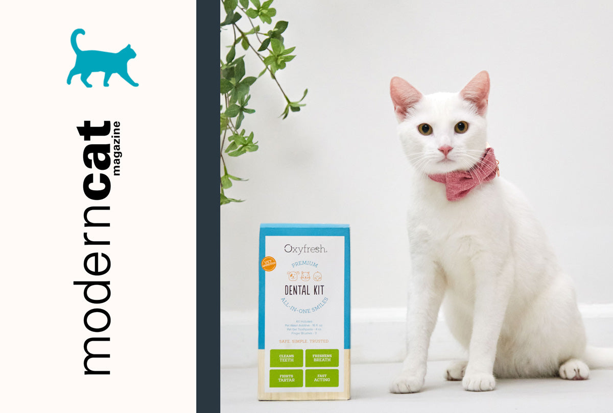 Oxyfresh Awarded Editor's Pick by Modern Cat for Transforming Pet Dental Care