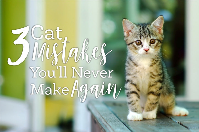 Oxyfresh - 3 cat mistakes you'll never make again