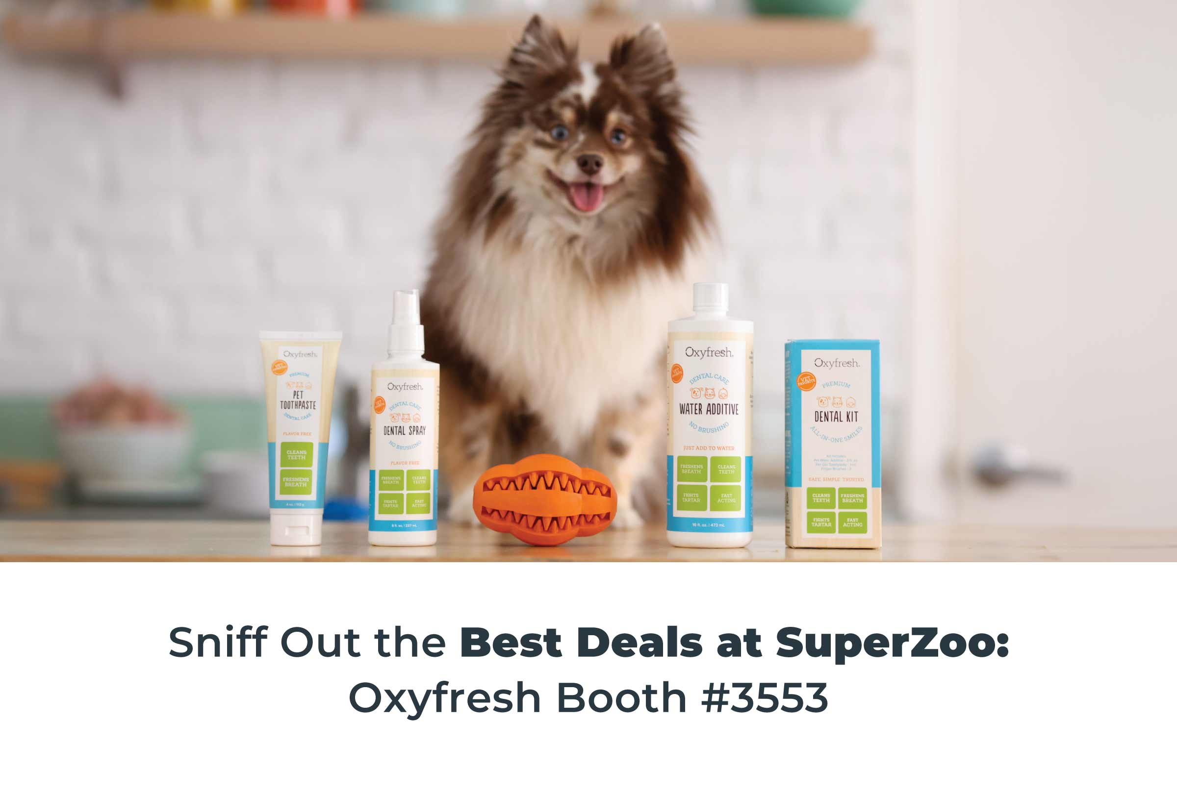 sniff out the best deals at superzoo Oxyfresh booth 3553 pomeranian sitting on countertop with oxyfresh pet dental care lineup including pet toothpaste spray chew toy water additive and kit