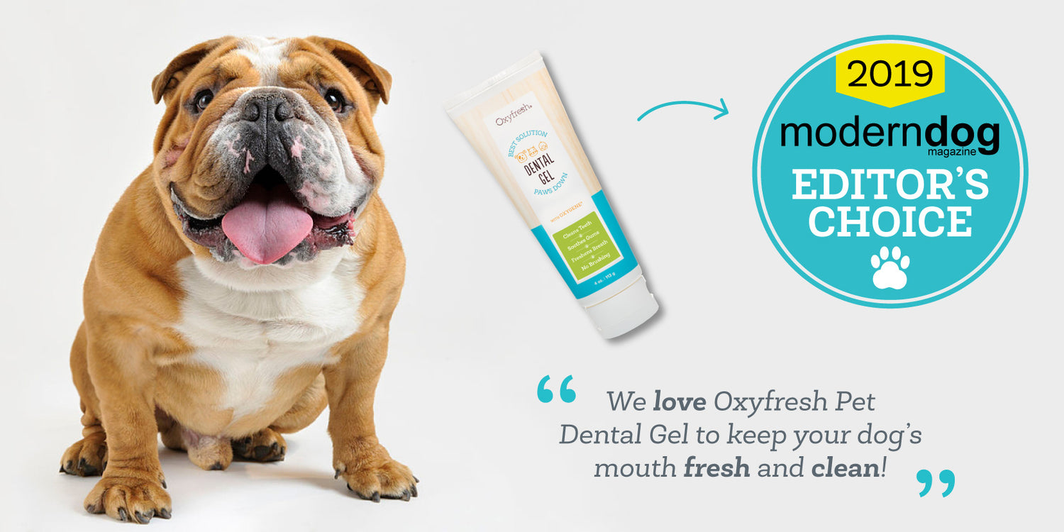 Oxyfresh-Modern-Dog-Editors-Choice-Cleans-Teeth-and-Gums-Pet-Dental-Gel