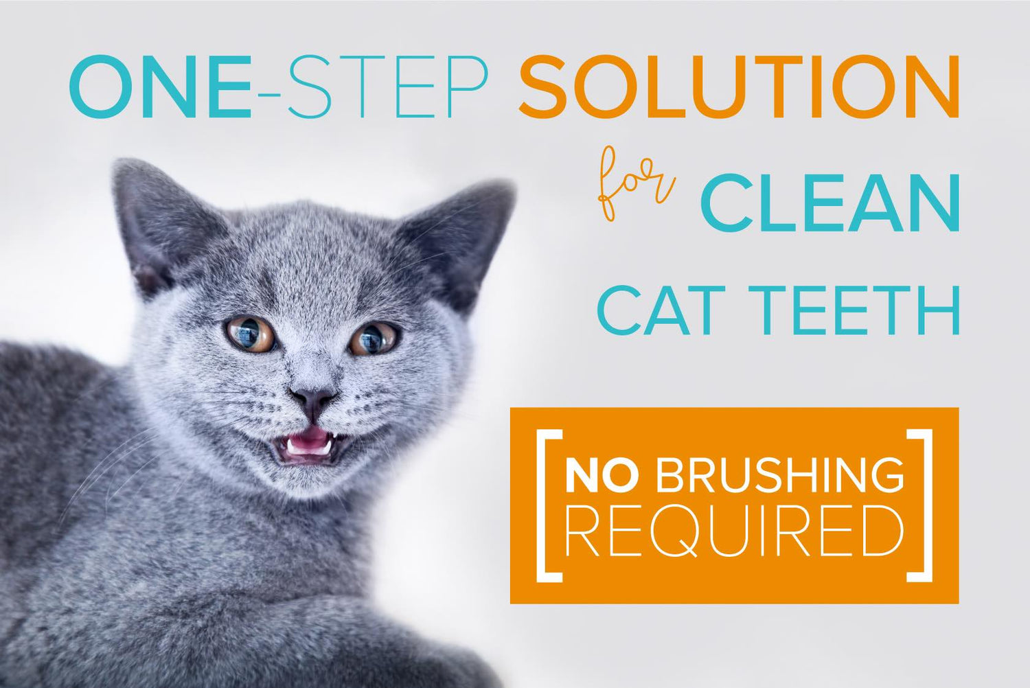 1-Step Solution for Clean Cat Teeth: No Brushing Required