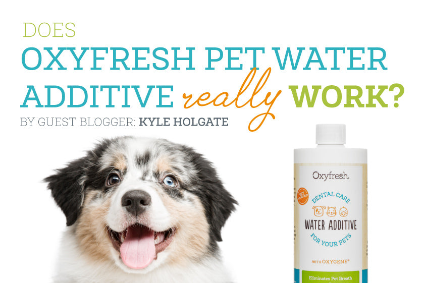 Oxyfresh - Pet Dental Water Additive Really Works