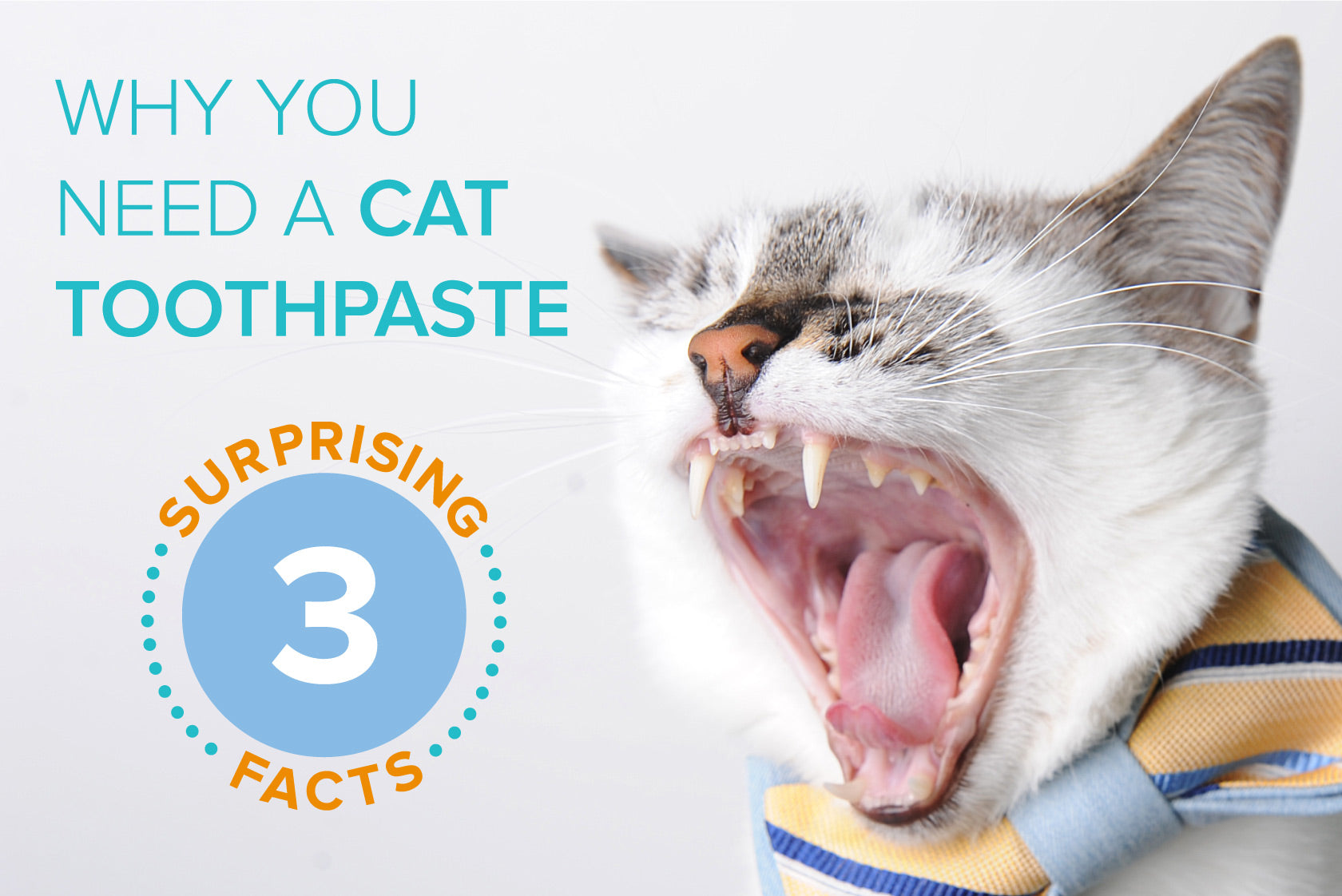 Oxyfresh - Why You Need A Cat Toothpaste Three Surprising Facts