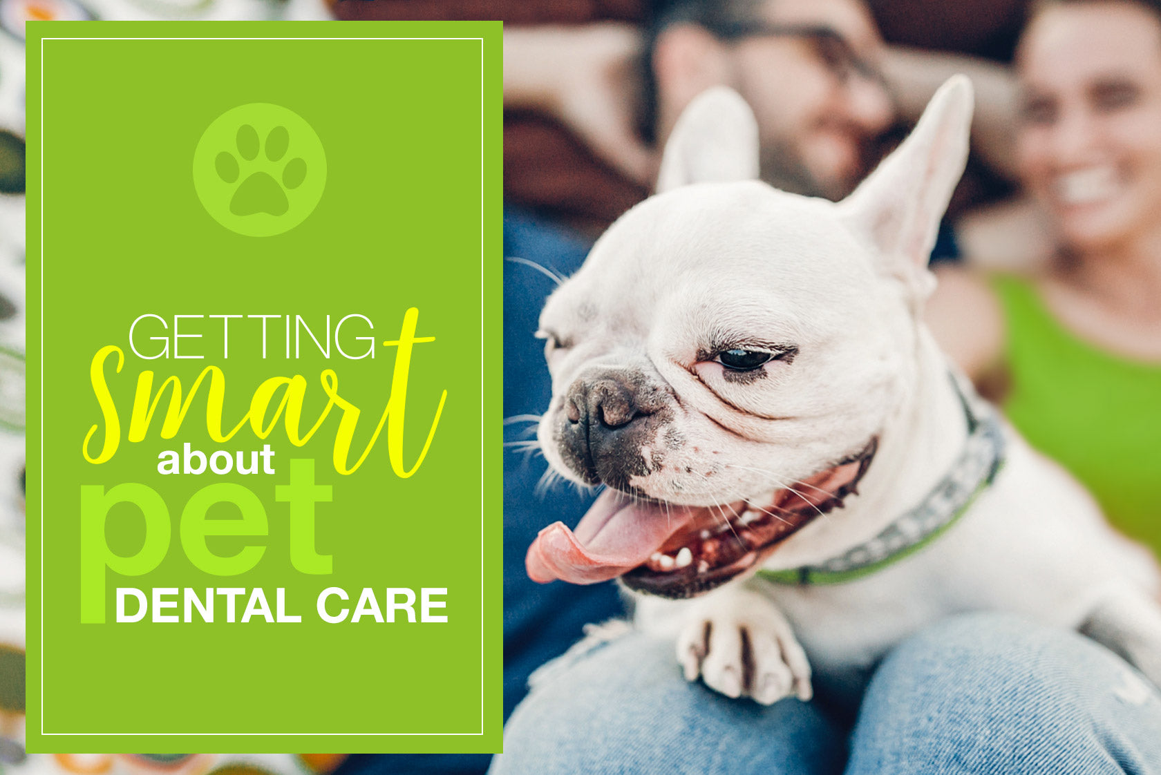 Oxyfresh - Getting smart about pet dental care
