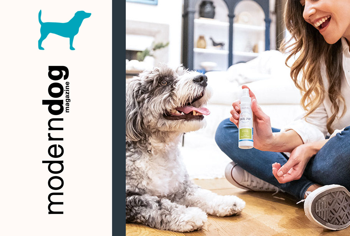 2 (Healthy) Paws Up for Hassle-Free Doggie Dental Care!