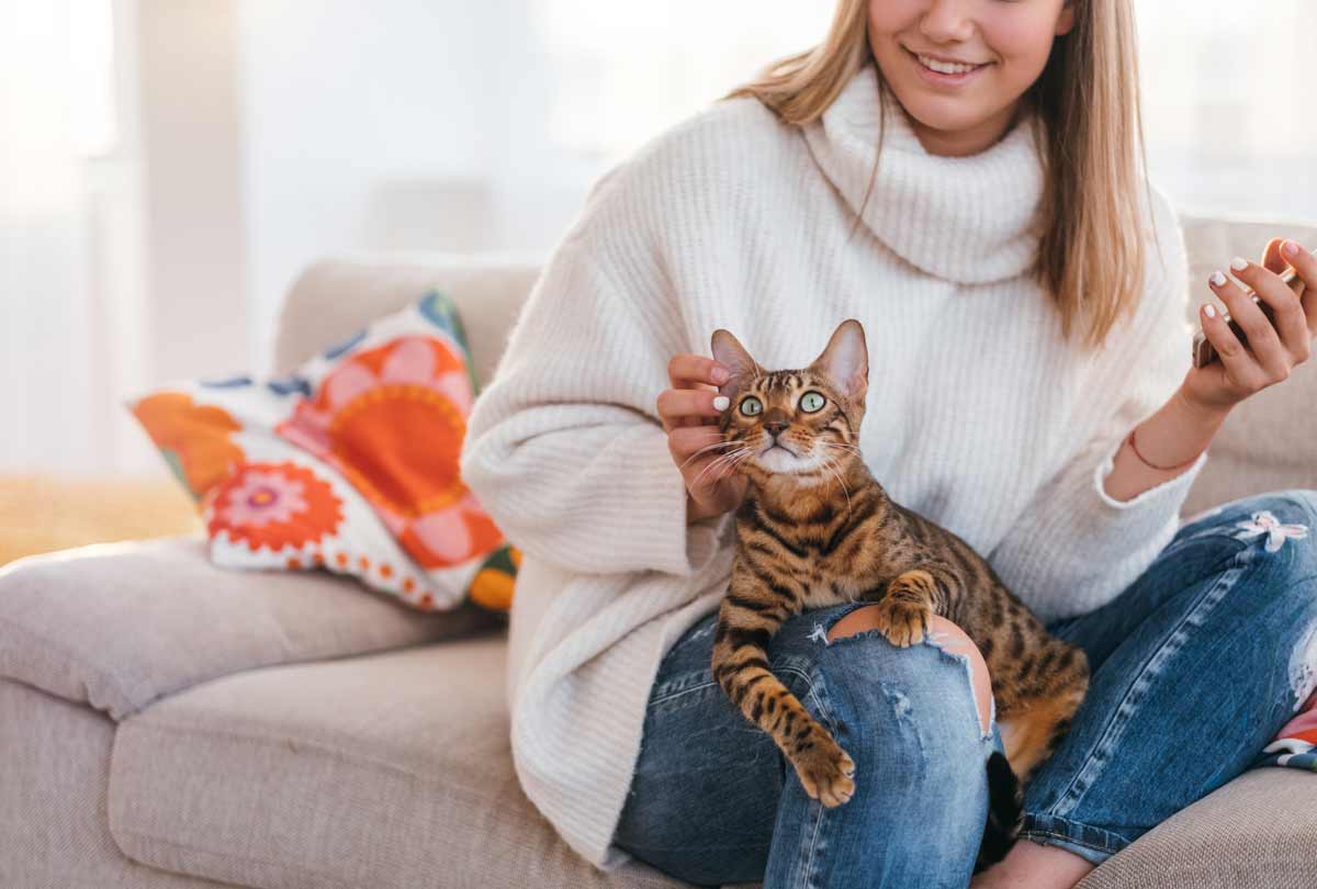 Why-Are-My-Cat’s-Ears-Warm-what you need to know featured-image woman smiling sitting on the couch smiling as she pets her cats ears oxyfresh pet ear