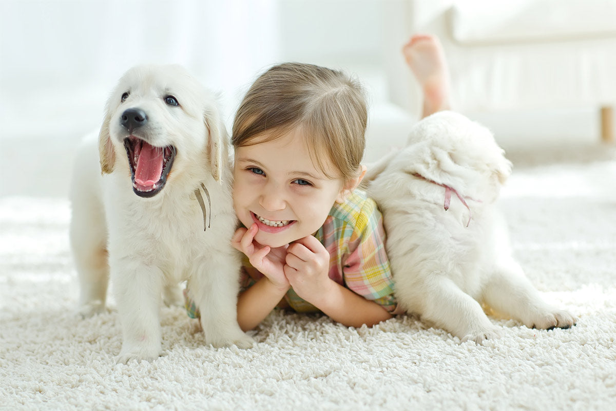 Oxyfresh - Bonding with Pets with Bad Breath - There's a solution