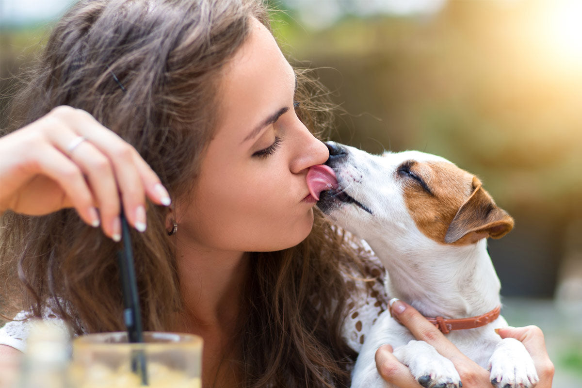 Is It Safe For My Dog to Lick My Friend's Face?