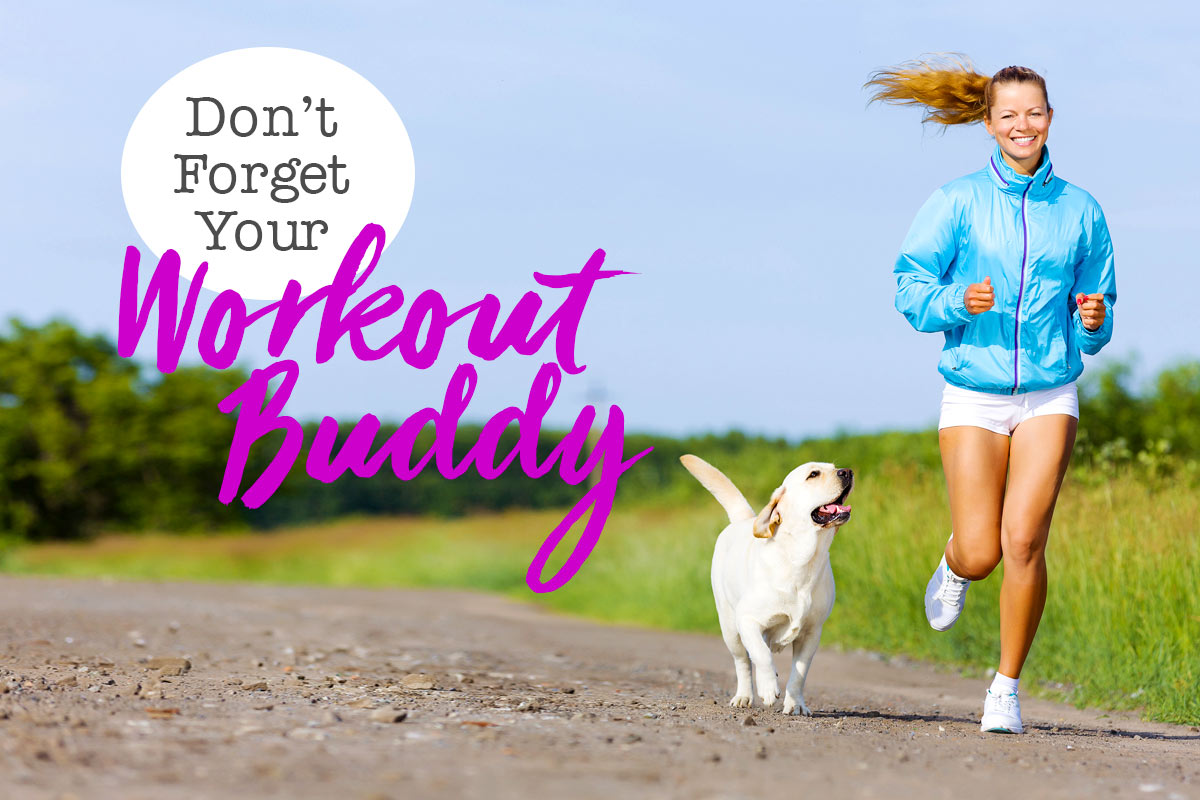 5 Fun Ways to Exercise with Your Dog