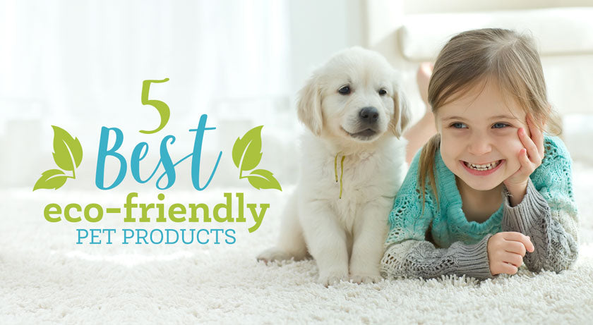 5 Best Eco-Friendly Pet Products