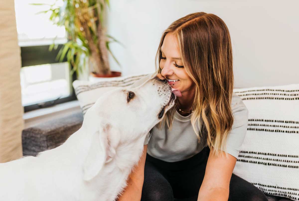 Freshen a dog's store breath