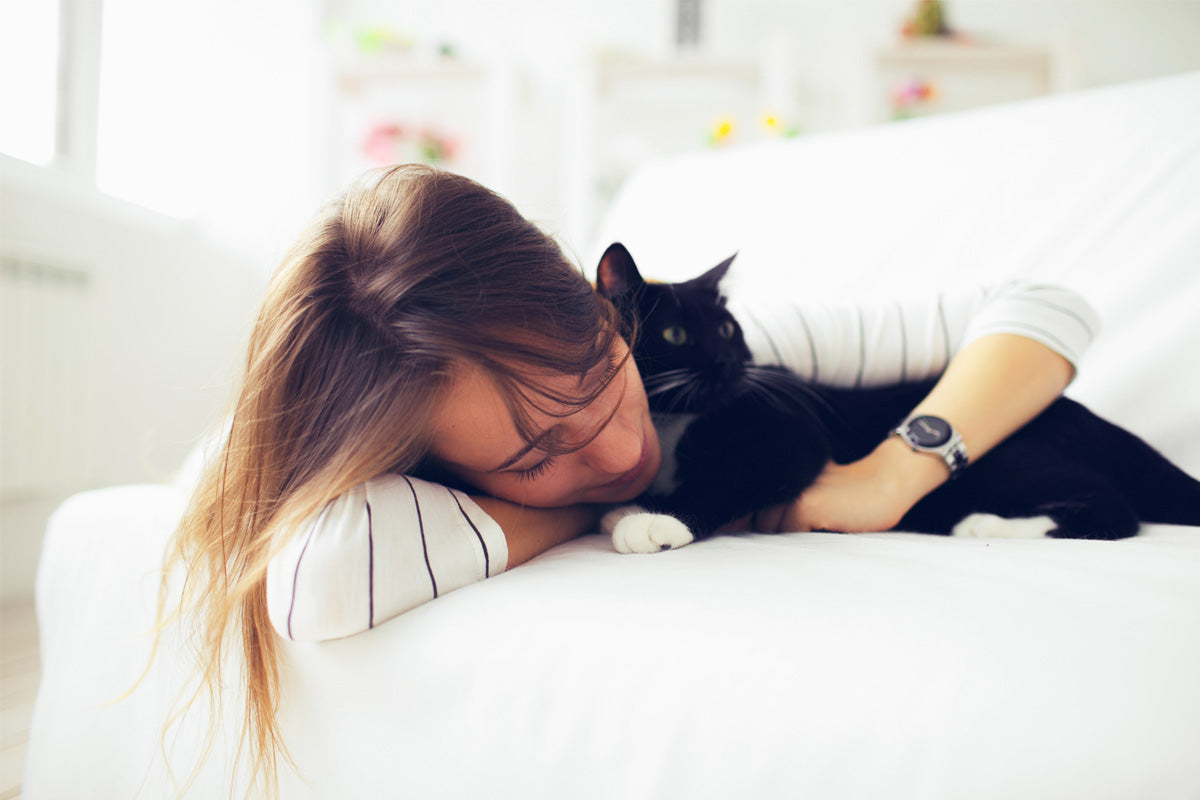 Fluffy, Cuddly Cats with Bad Breath, Here's How to Fix That