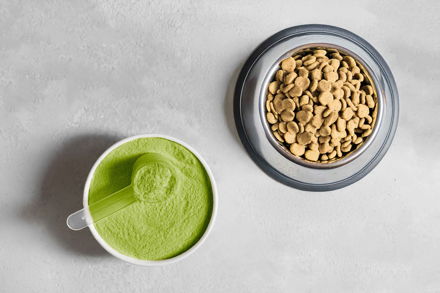 Is Green Powder for Dogs' Teeth Worth the Hype?