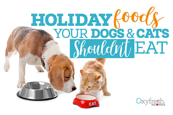 7 Holiday Foods Your Dogs and Cats Shouldn’t Have