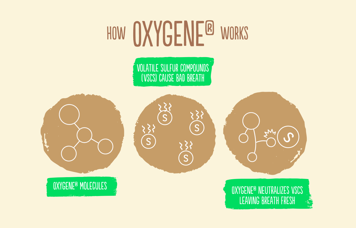 Why Oxygene Makes All the Difference