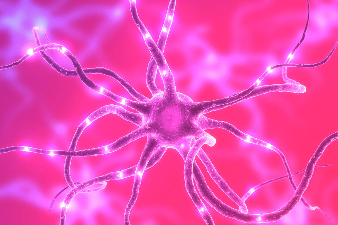 5 Habits That Are Killing Your Brain Cells