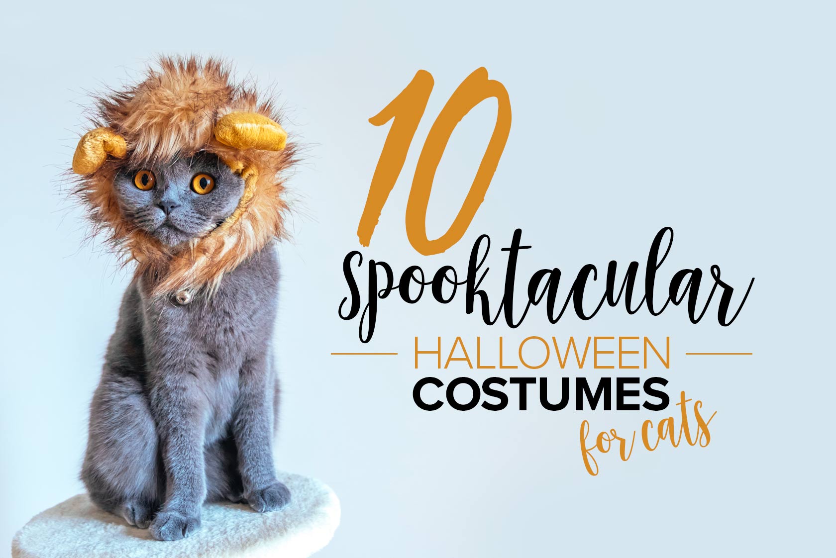 Oxyfresh - 10 halloween costumes for cats