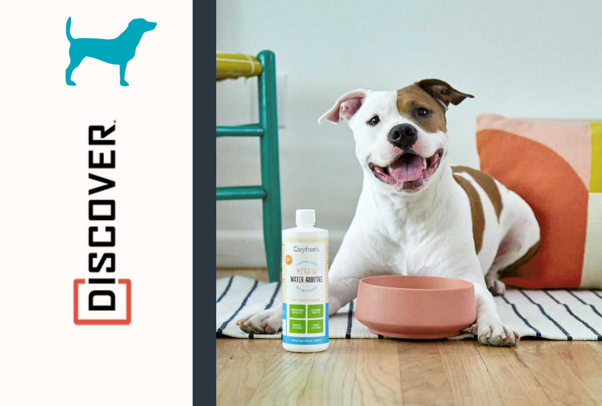 smiling clean toothed dog with oxyfresh pet water additive and the discover logo