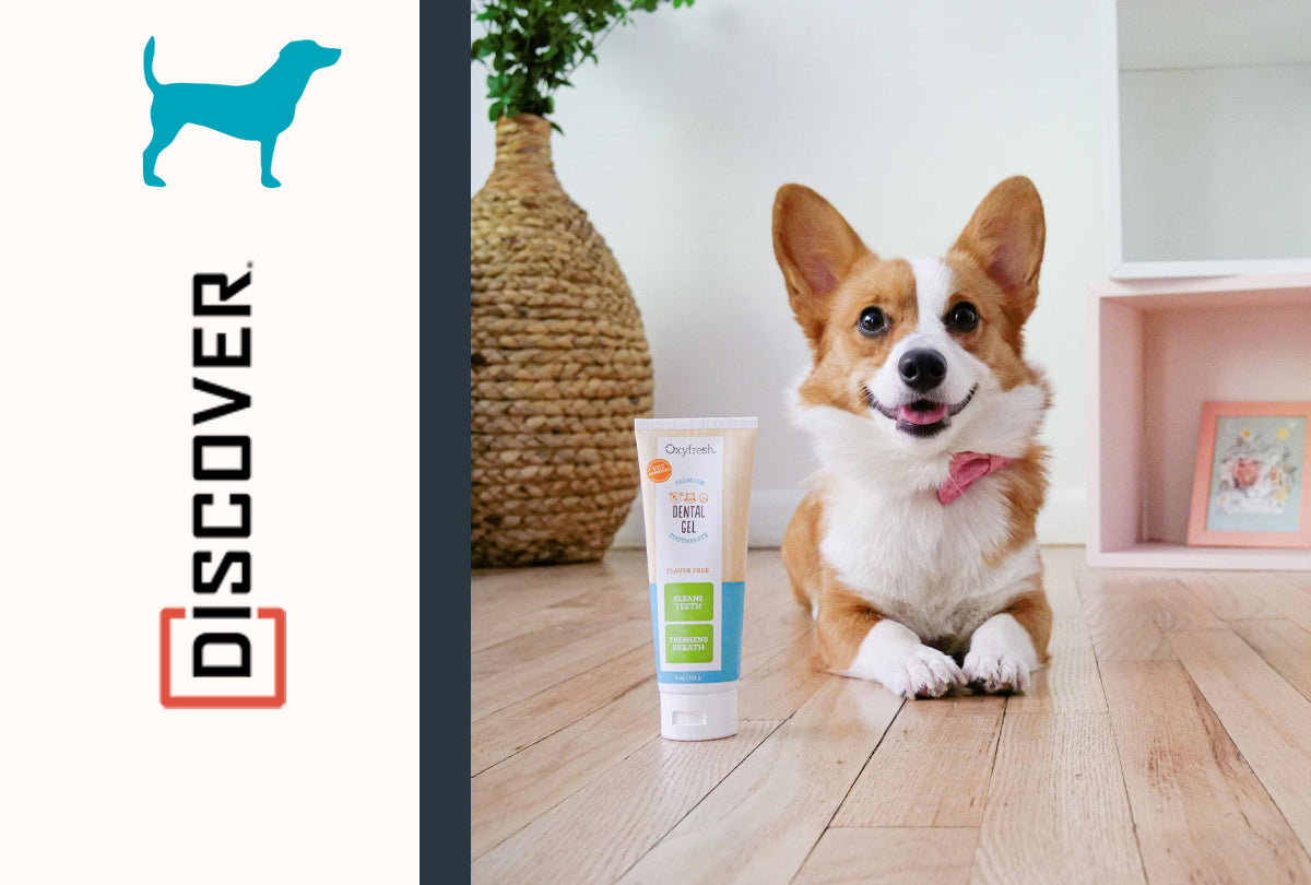 Oxyfresh Pet Toothpaste Makes the List of "18 Best Organic Dog Toothpastes"