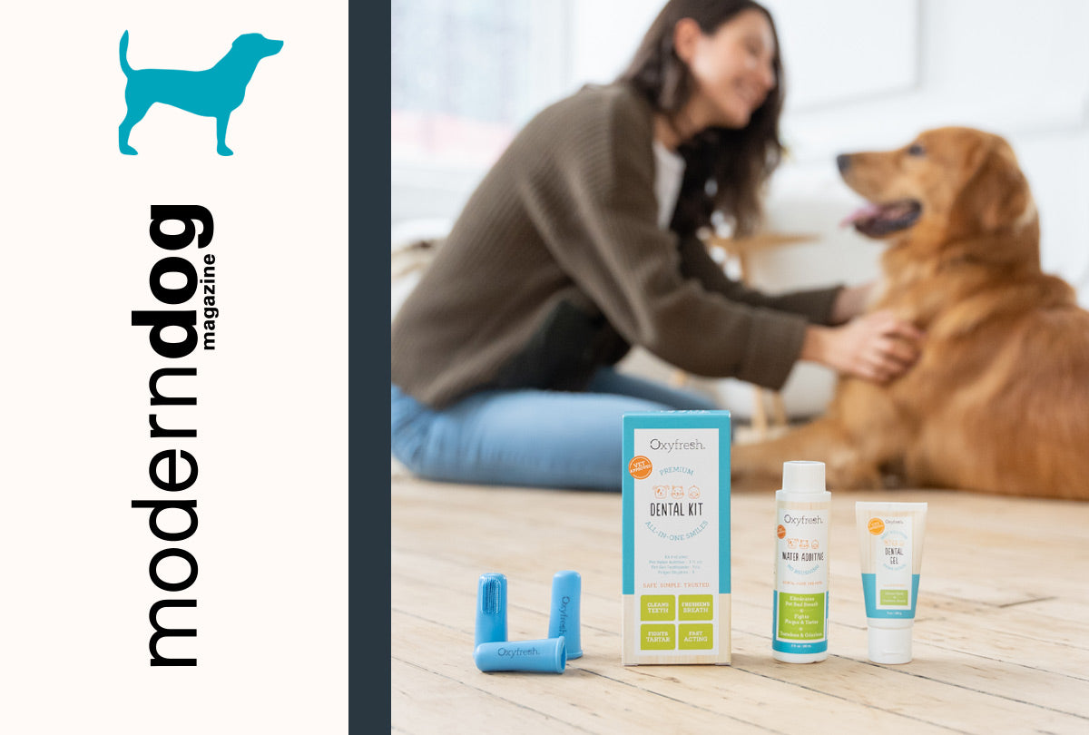 oxyfresh pet dental kit featured in modern dog holiday gift guide