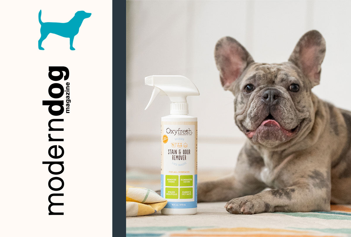 oxyfresh-pet-odor-and-stain-remover-spray-carpet-cleaner-featured-in-modern-dog