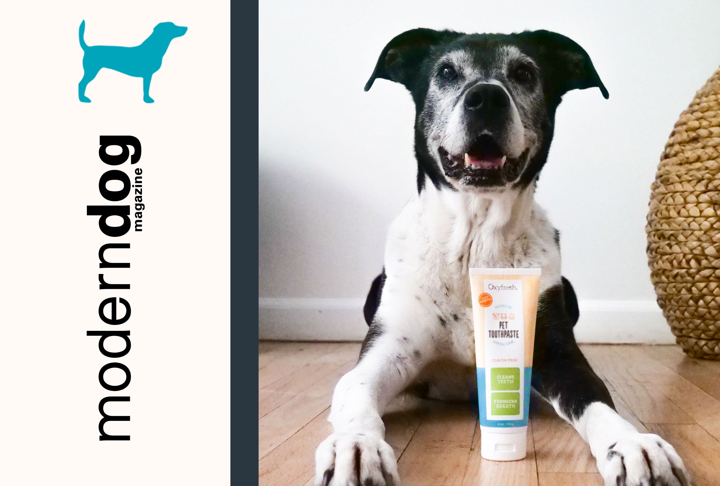 Oxyfresh Pet Toothpaste Fetches Top Spot in Modern Dog